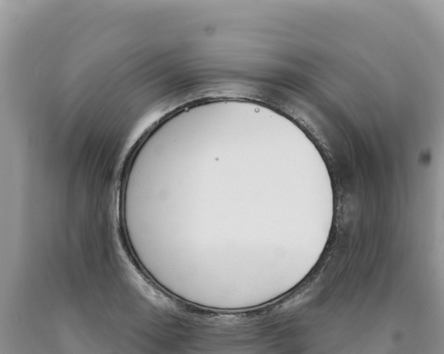 X0000090891130200707271033
