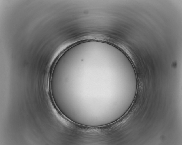 X0000090891131200707271033