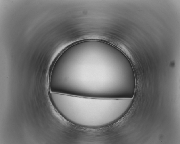 X0000090891132200707271033