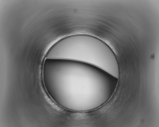 X0000090891134200707271033