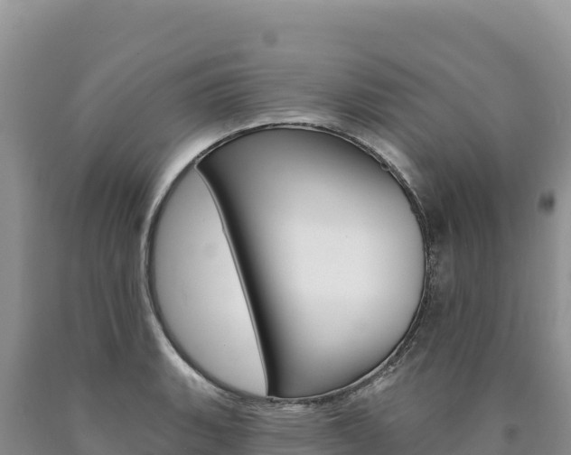 X0000090891135200707271033