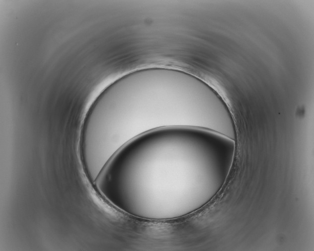 X0000090891136200707271033