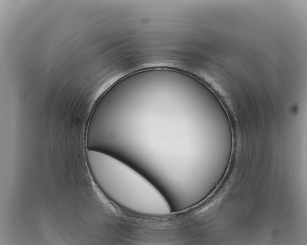X0000090891137200707271033