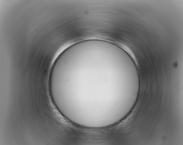 X0000090891138200707271033