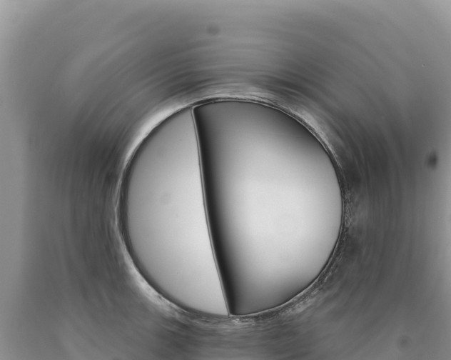 X0000090891139200707271033