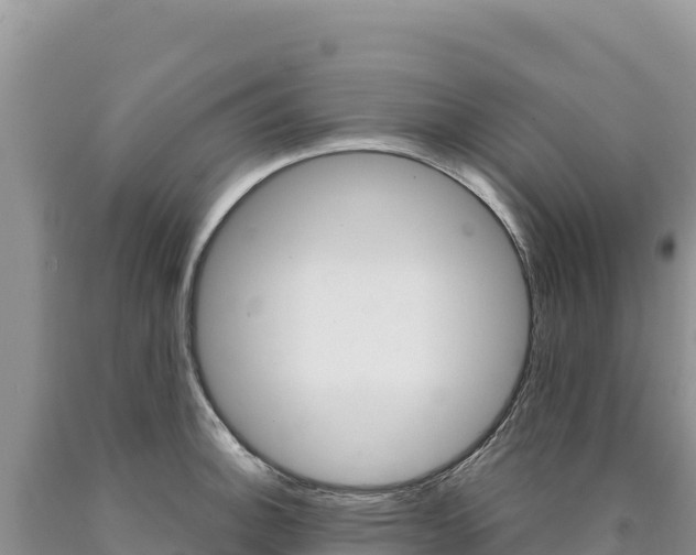 X0000090891140200707271033