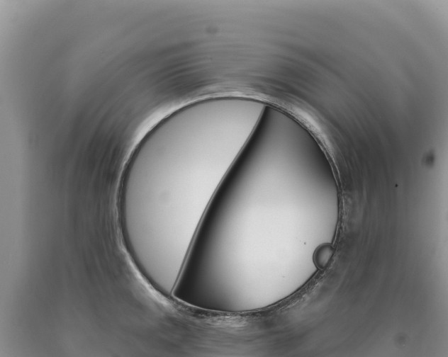 X0000090891141200707271033