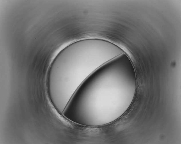 X0000090891142200707271033
