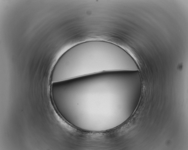 X0000090891143200707271033