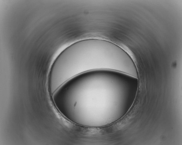 X0000090891144200707271033