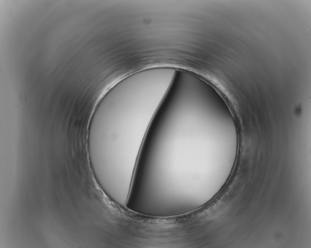 X0000090891145200707271033