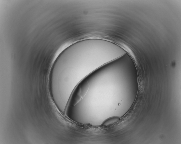 X0000090891146200707271033