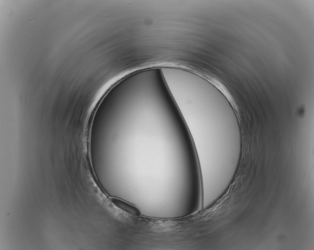 X0000090891148200707271033