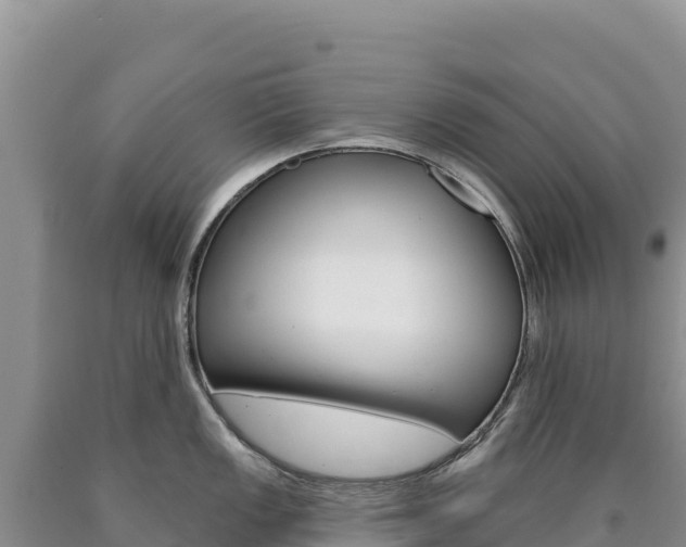 X0000090891149200707271033