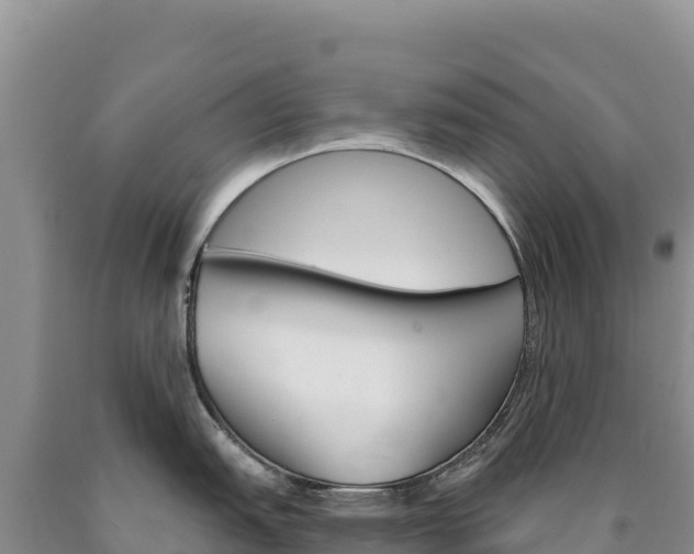 X0000090891151200707271033