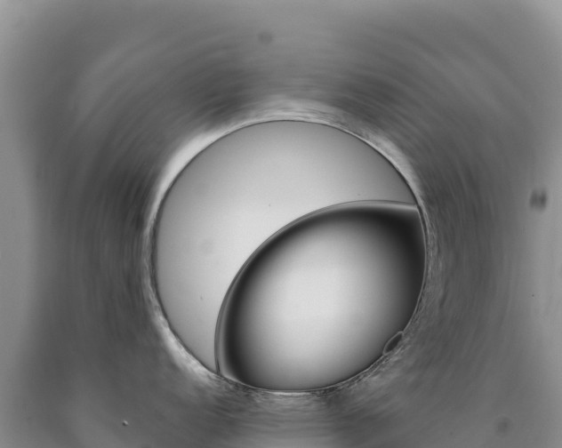 X0000090891152200707271033