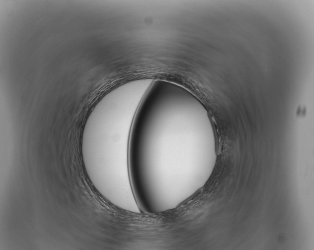 X0000090891153200707271032