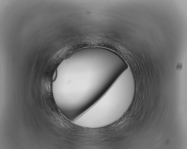 X0000090891155200707271032