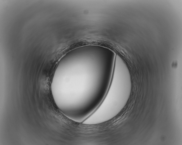 X0000090891156200707271032