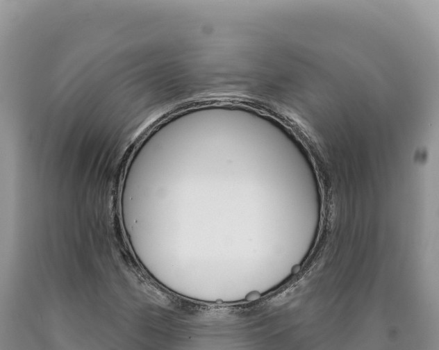 X0000090891162200707271032