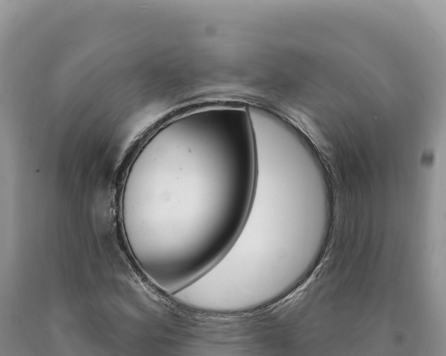 X0000090891164200707271032