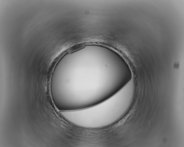 X0000090891165200707271032