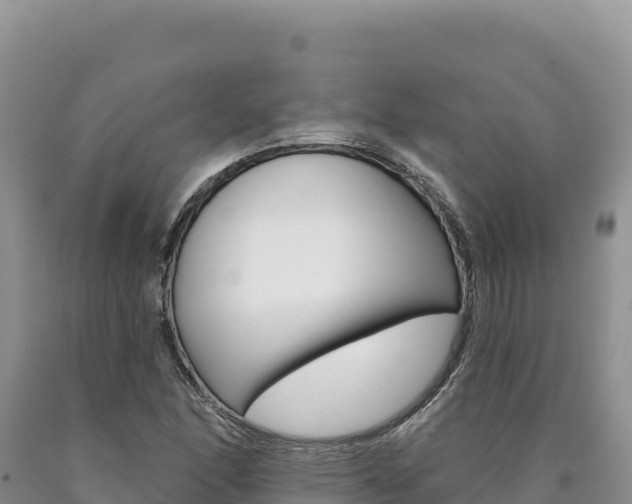 X0000090891166200707271032