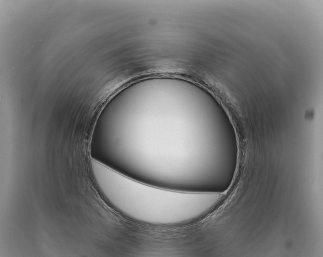 X0000090891169200707271032