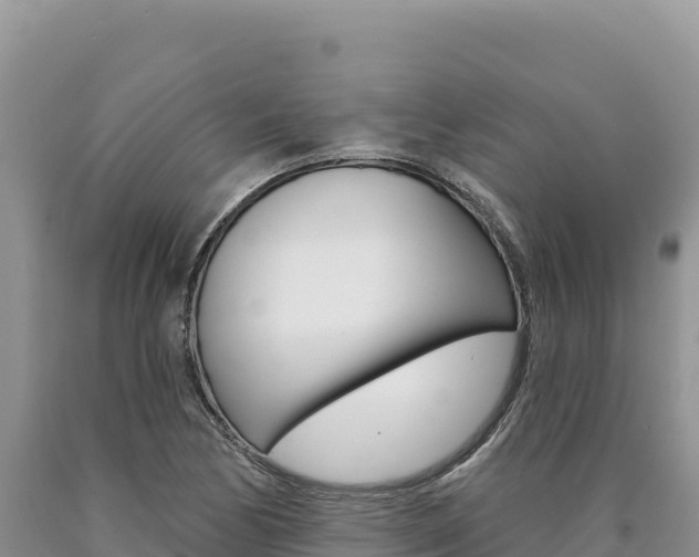 X0000090891170200707271032