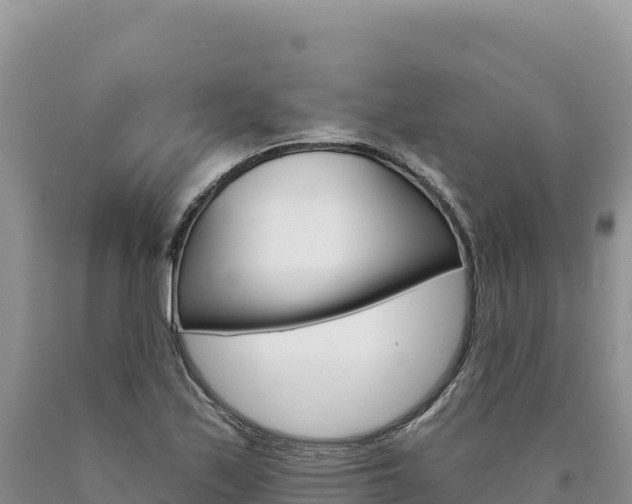 X0000090891171200707271032