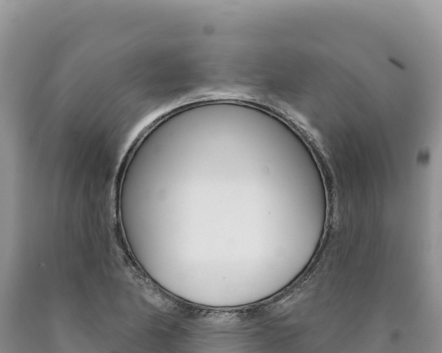 X0000090891174200707271032