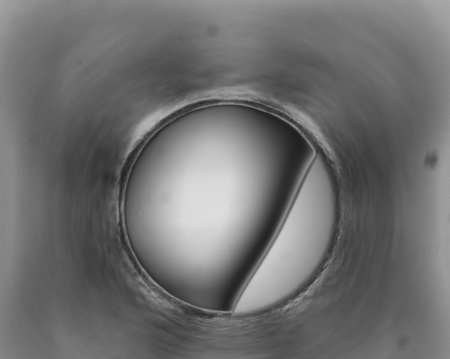 X0000090891176200707271032