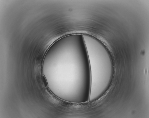 X0000090891177200707271032