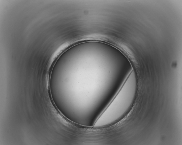 X0000090891180200707271032