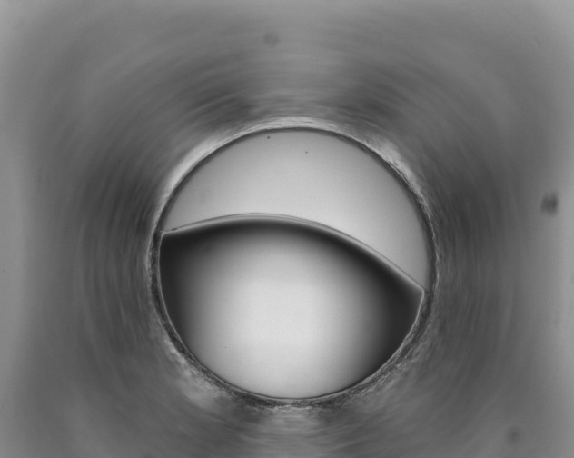 X0000090891181200707271032