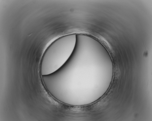X0000090891182200707271032