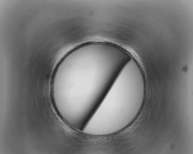 X0000090891183200707271032