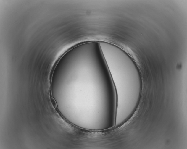 X0000090891184200707271032