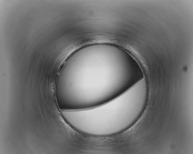X0000090891185200707271032