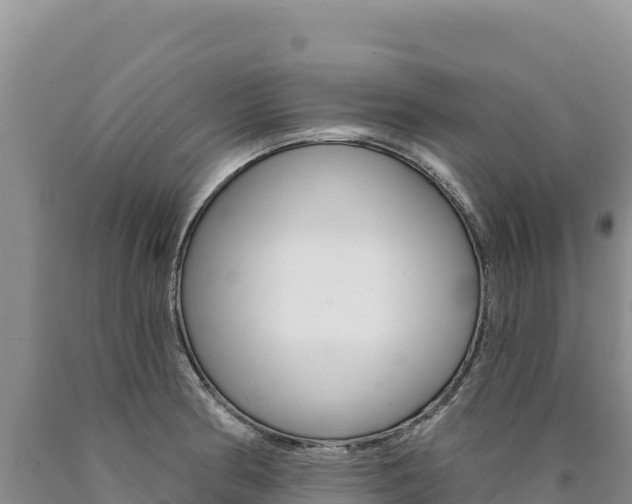 X0000090891186200707271032