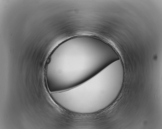 X0000090891187200707271032