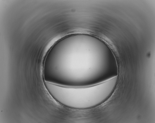 X0000090891188200707271032