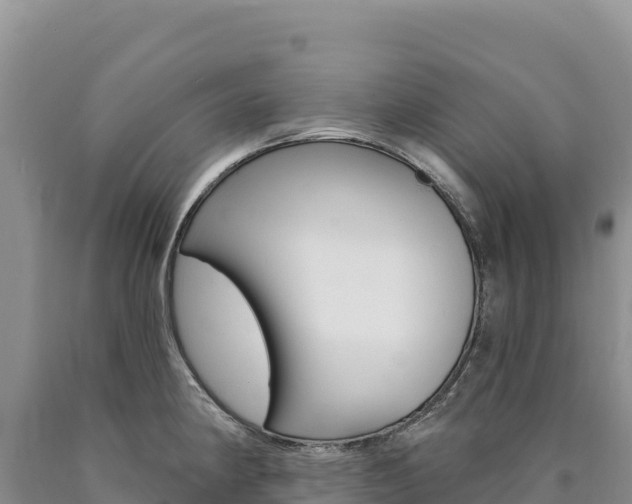 X0000090891190200707271032