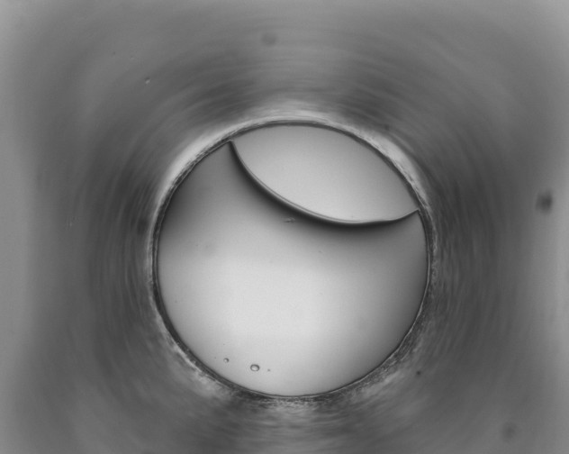 X0000090891191200707271032
