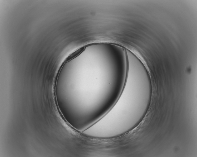 X0000090891197200707271032