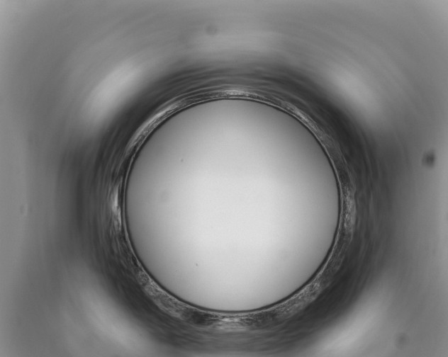 X0000090891198200707271032