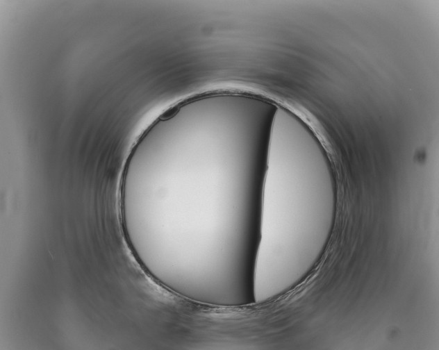 X0000090891199200707271032