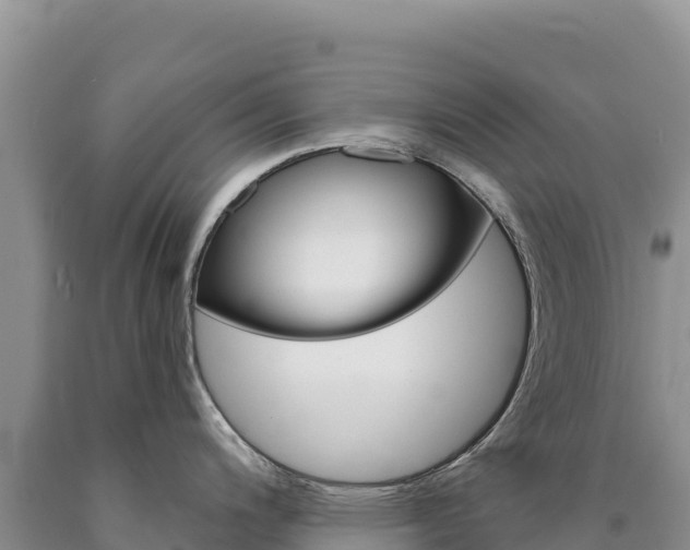 X0000090891200200707271032