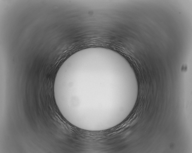X0000090891202200707271031