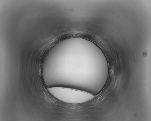 X0000090891204200707271031